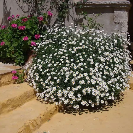 Casa vacanze Delightful Stone Greek Cottages - Daisy Studio & Marguerite One & Half Bdrms